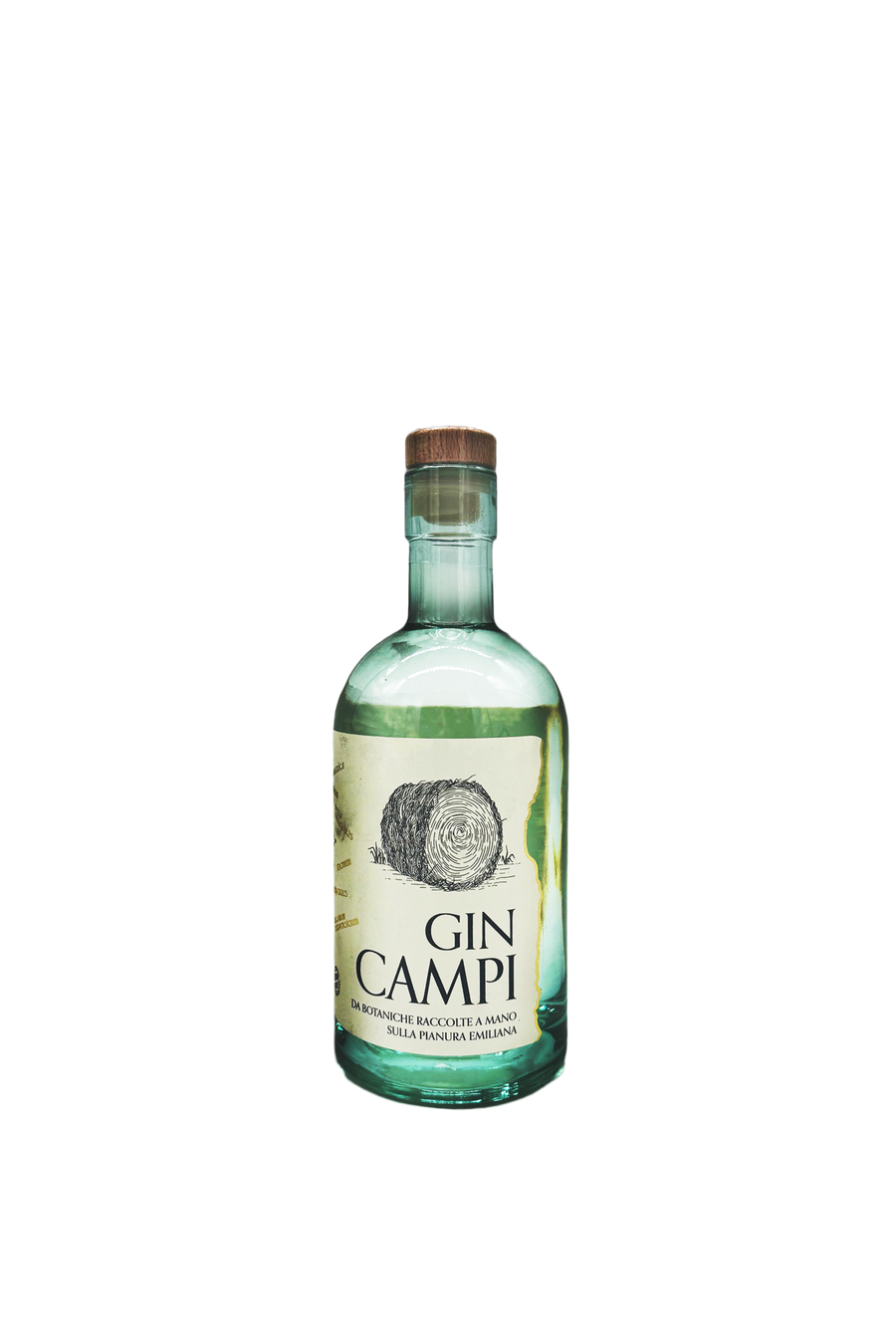 Gin Campi